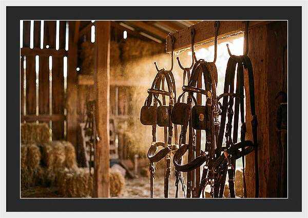 Old Leather Horse Harnesses