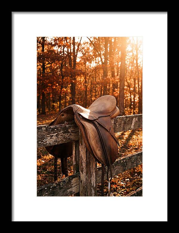 Old Leather Saddle In Autumn Light