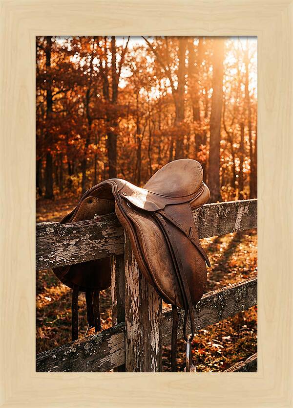 Old Leather Saddle In Autumn Light