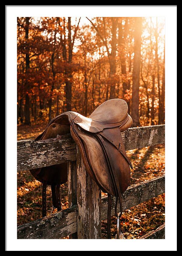 Old Leather Saddle In Autumn Light