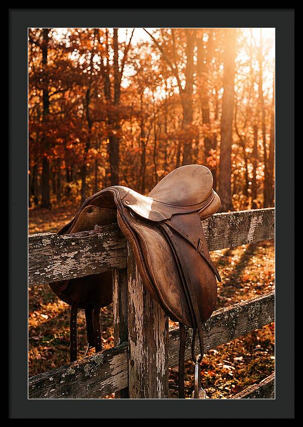 Old Leather Saddle In Autumn Light