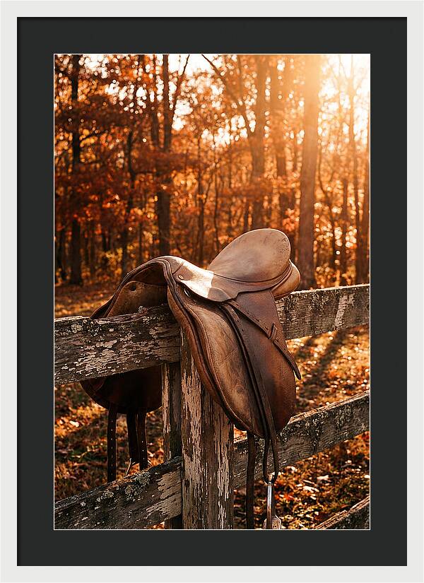 Old Leather Saddle In Autumn Light