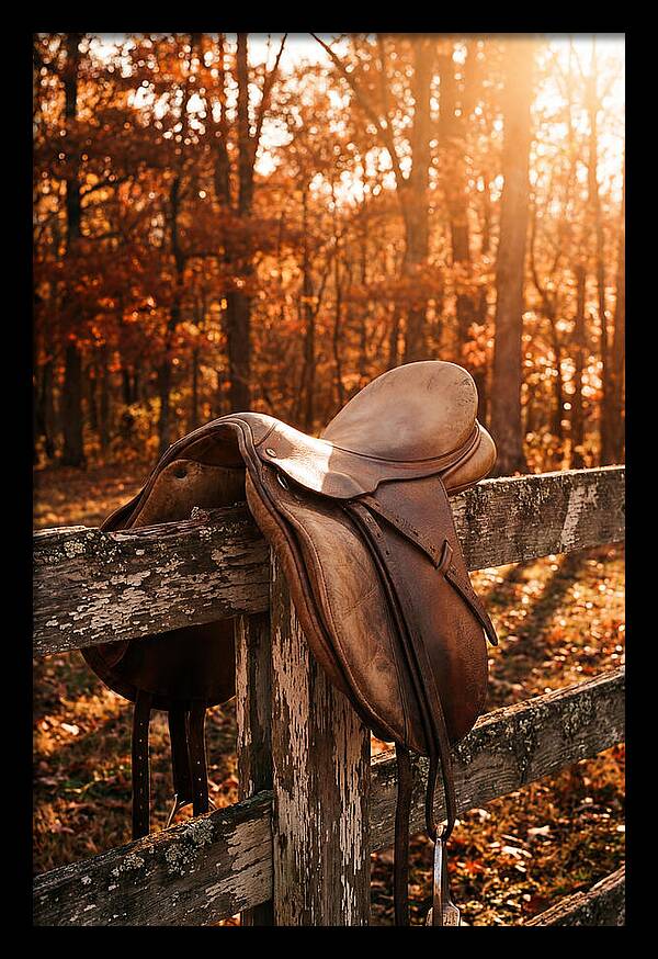 Old Leather Saddle In Autumn Light