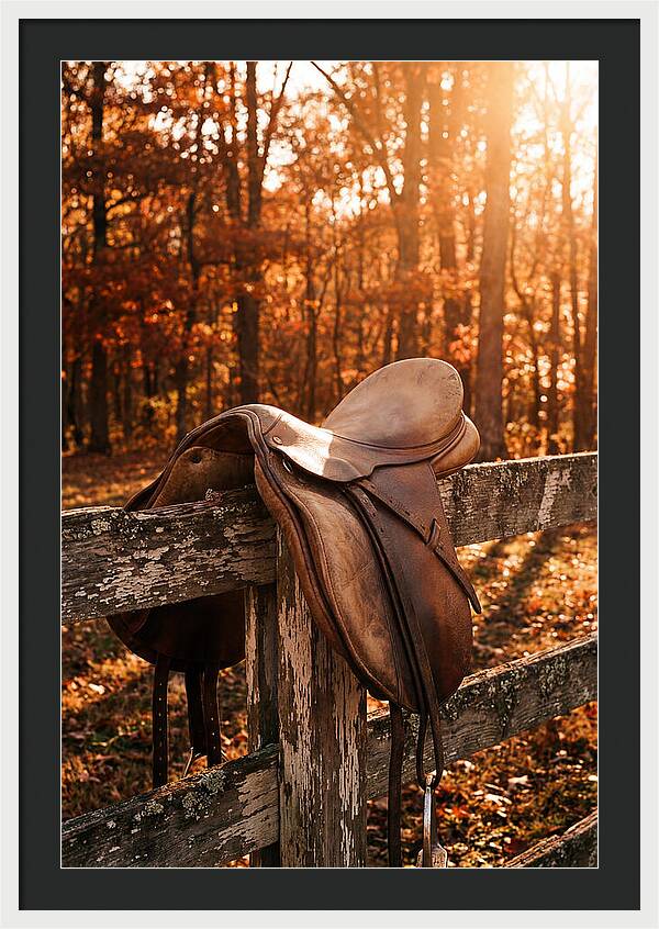 Old Leather Saddle In Autumn Light