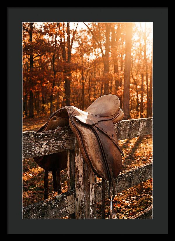 Old Leather Saddle In Autumn Light