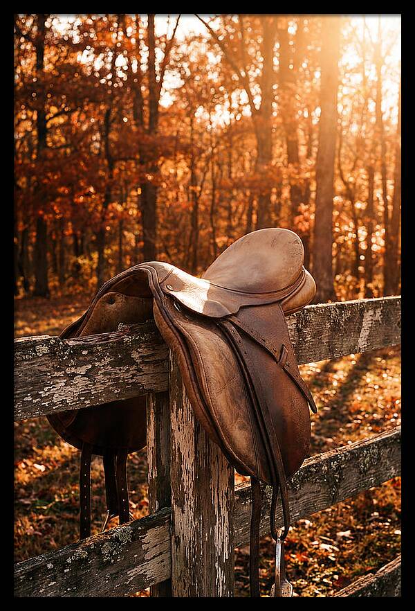 Old Leather Saddle In Autumn Light