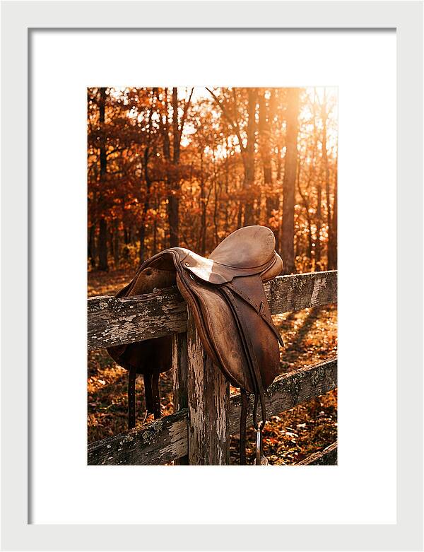 Old Leather Saddle In Autumn Light