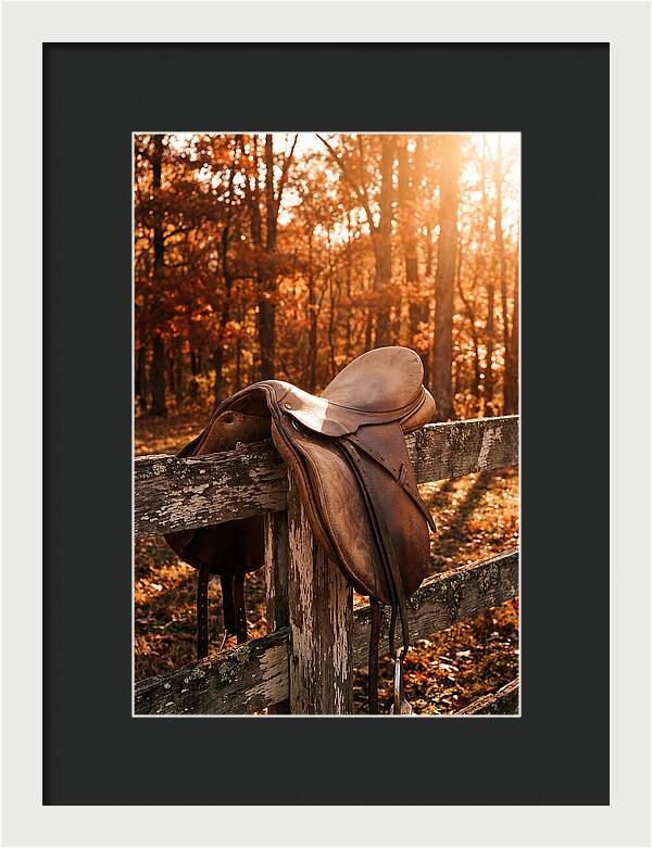 Old Leather Saddle In Autumn Light