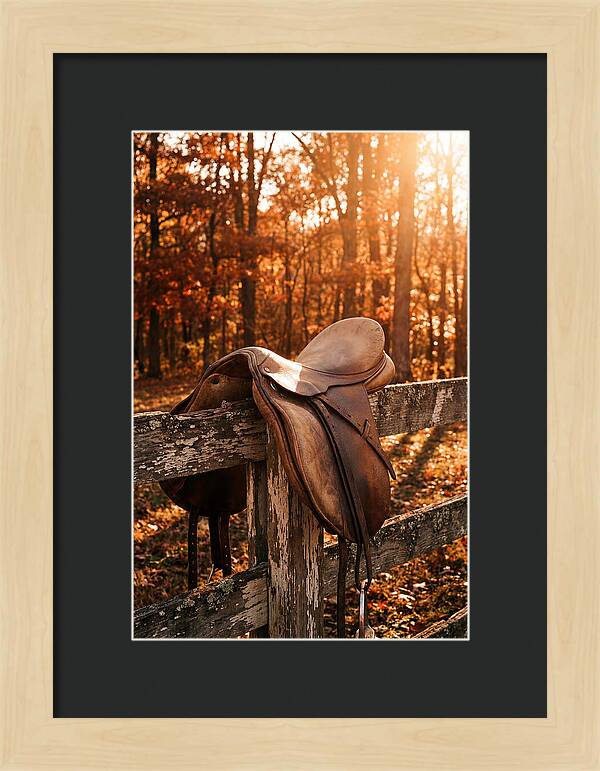 Old Leather Saddle In Autumn Light