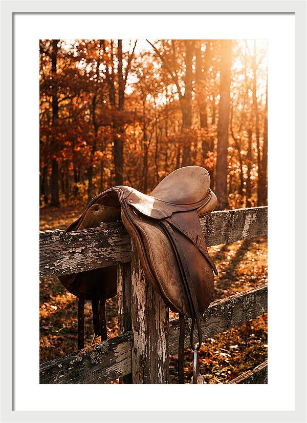 Old Leather Saddle In Autumn Light