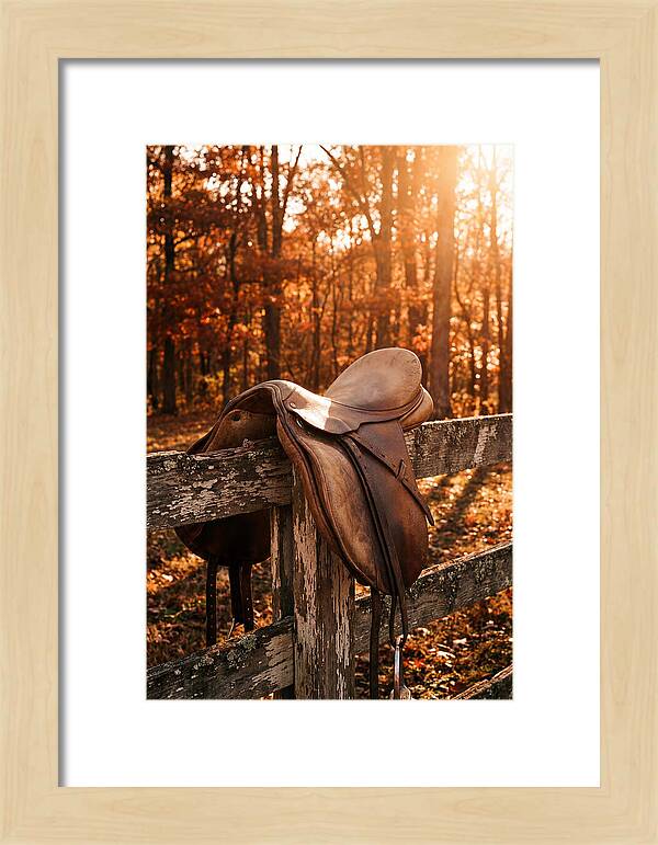 Old Leather Saddle In Autumn Light
