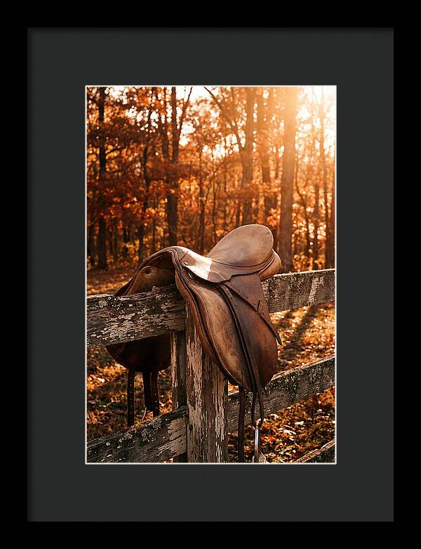 Old Leather Saddle In Autumn Light