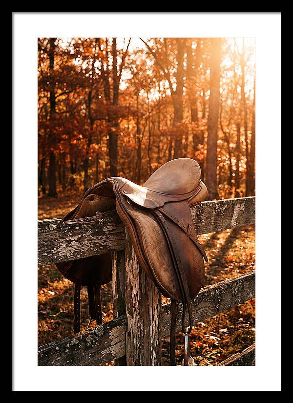 Old Leather Saddle In Autumn Light