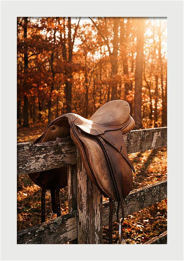 Old Leather Saddle In Autumn Light