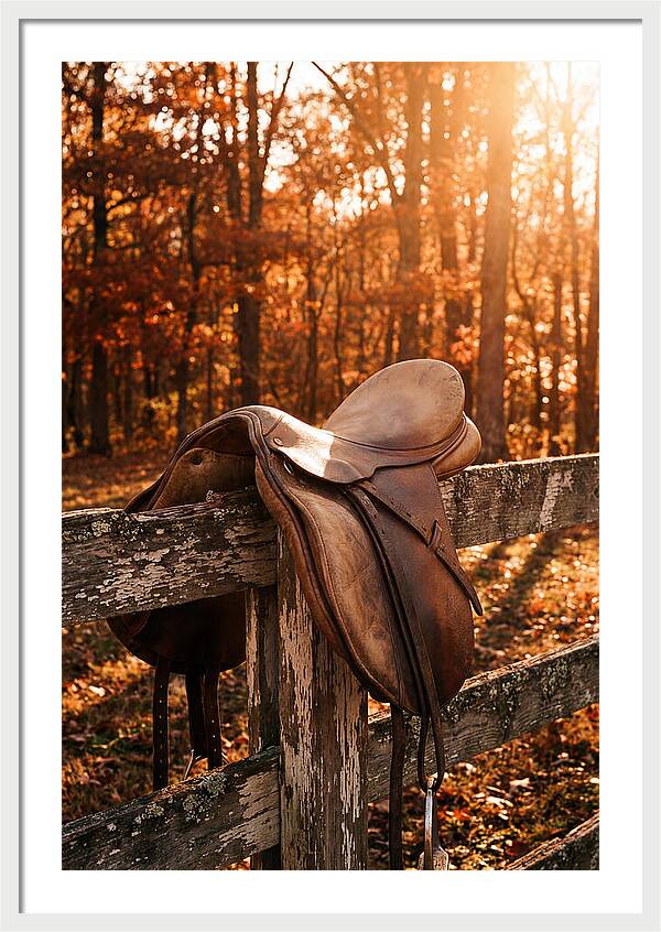 Old Leather Saddle In Autumn Light