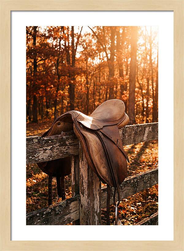 Old Leather Saddle In Autumn Light