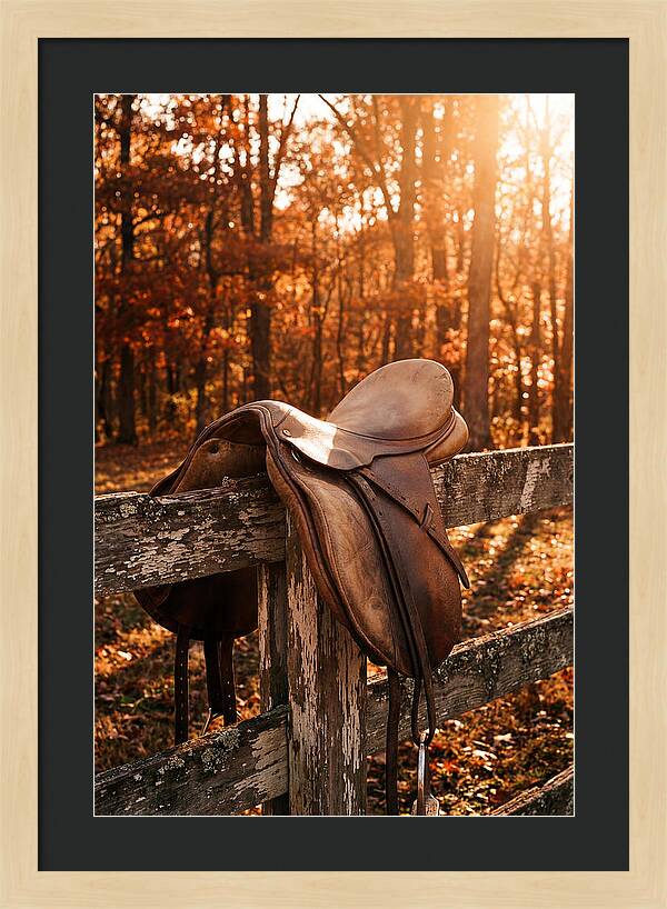 Old Leather Saddle In Autumn Light