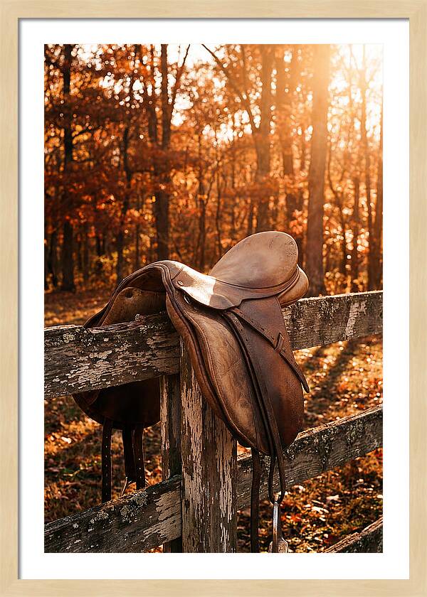 Old Leather Saddle In Autumn Light