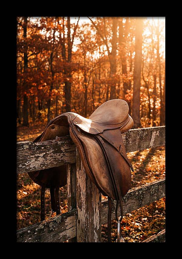 Old Leather Saddle In Autumn Light
