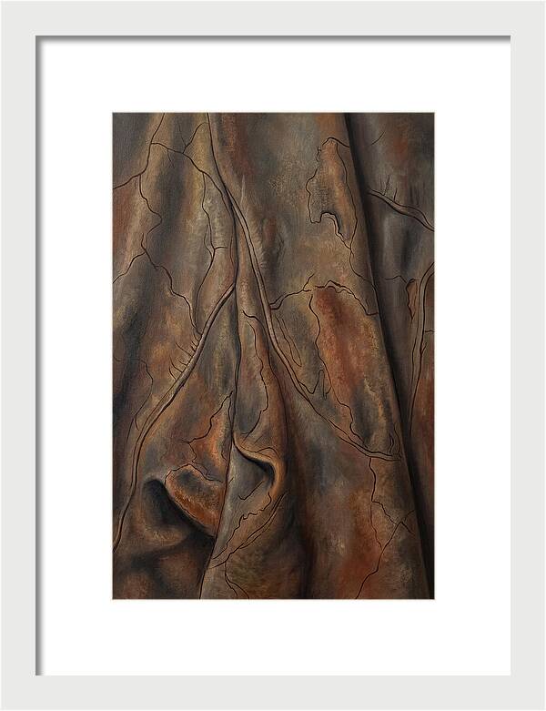 Old Leather Texture With Patina