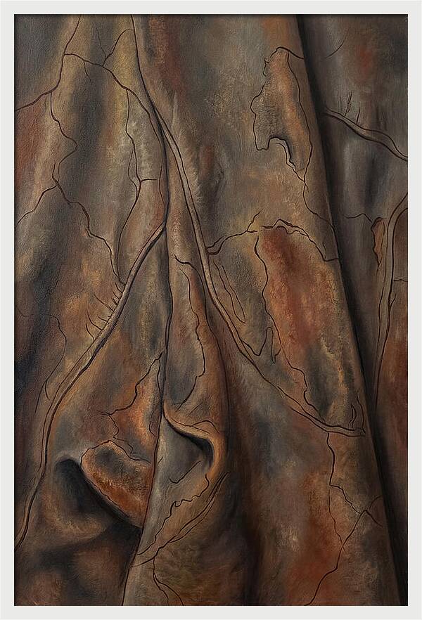 Old Leather Texture With Patina