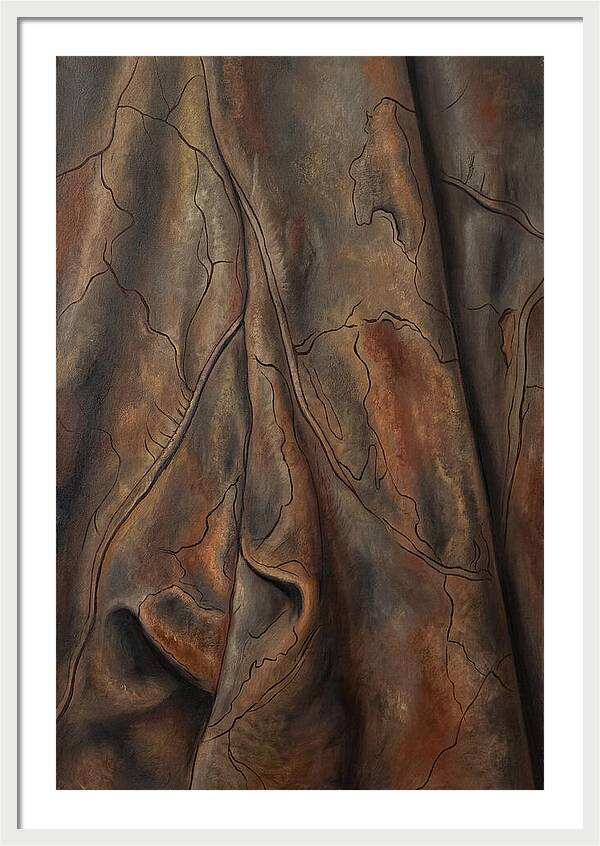 Old Leather Texture With Patina