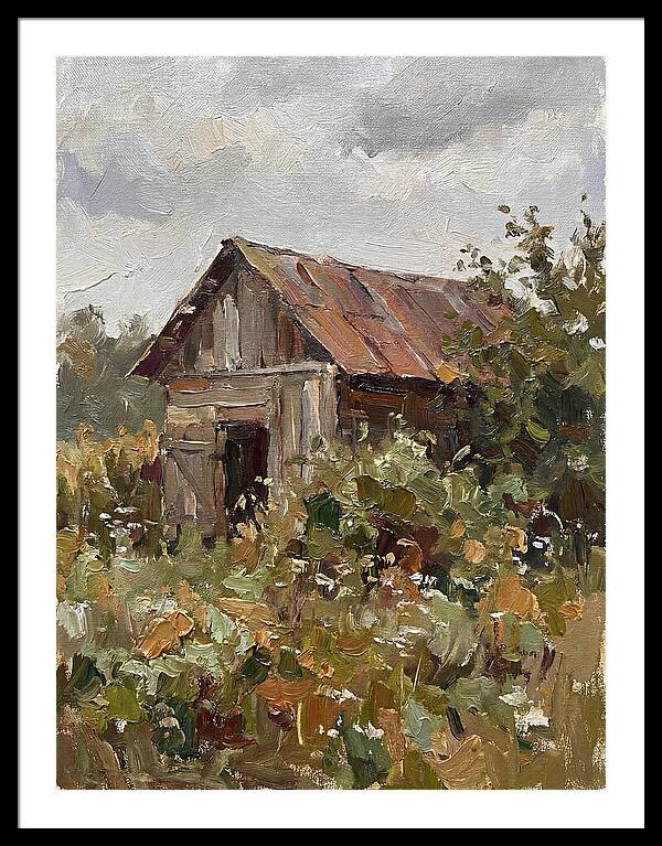 Old Shed Amidst Nature