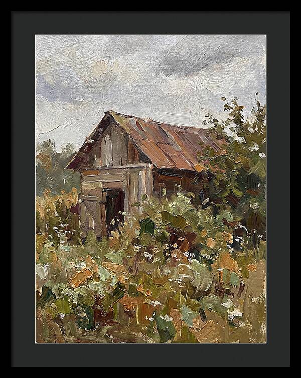 Old Shed Amidst Nature