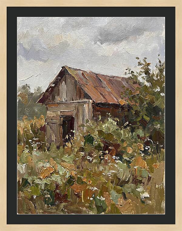Old Shed Amidst Nature