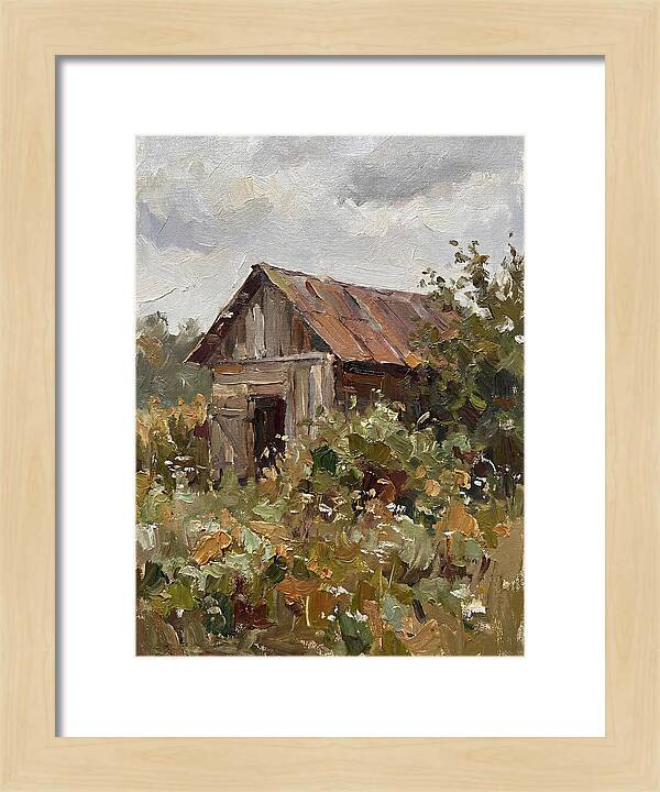 Old Shed Amidst Nature