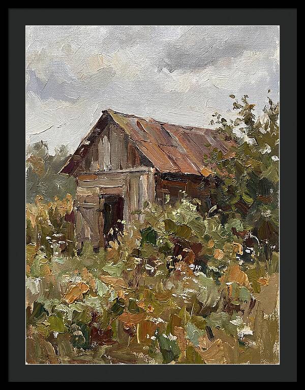 Old Shed Amidst Nature