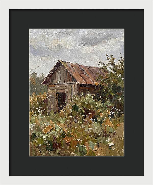 Old Shed Amidst Nature