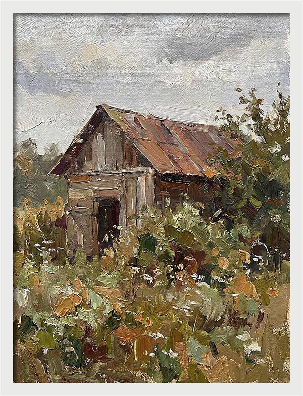 Old Shed Amidst Nature