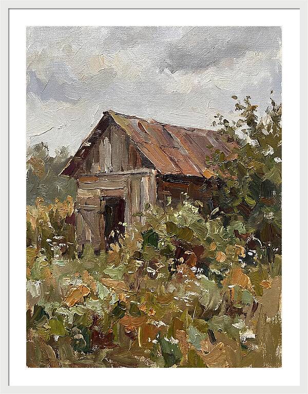 Old Shed Amidst Nature