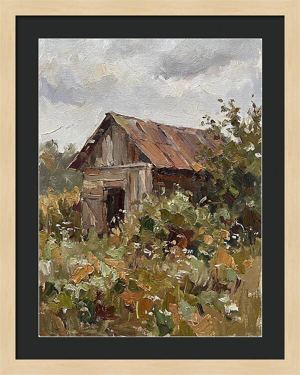 Old Shed Amidst Nature