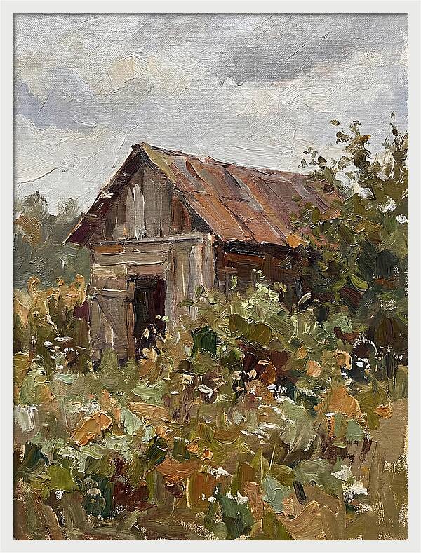 Old Shed Amidst Nature