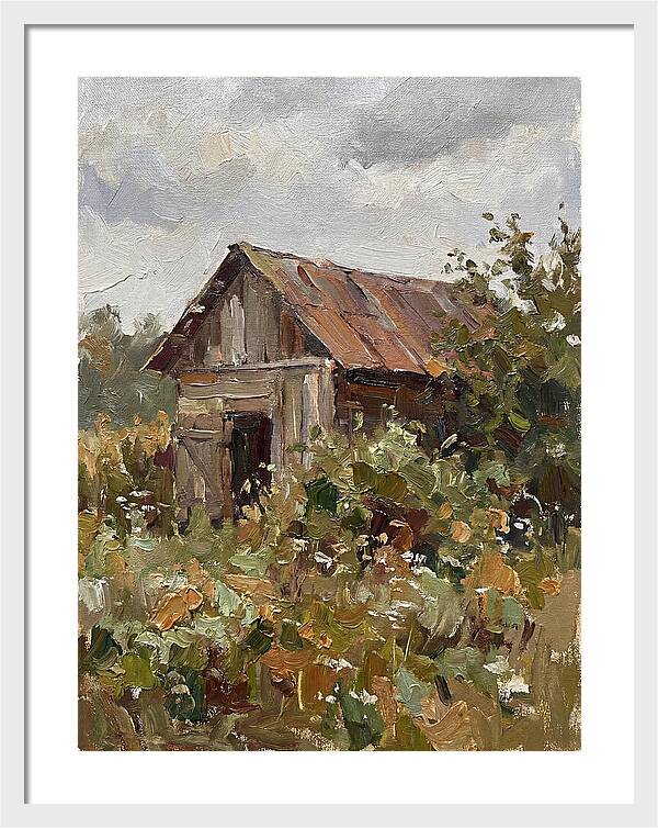 Old Shed Amidst Nature