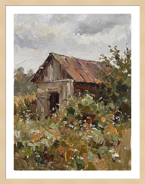 Old Shed Amidst Nature