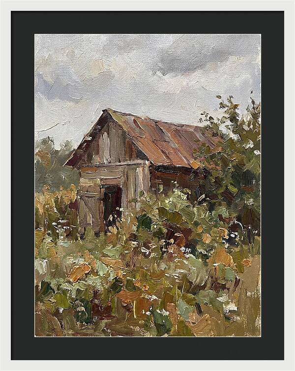 Old Shed Amidst Nature