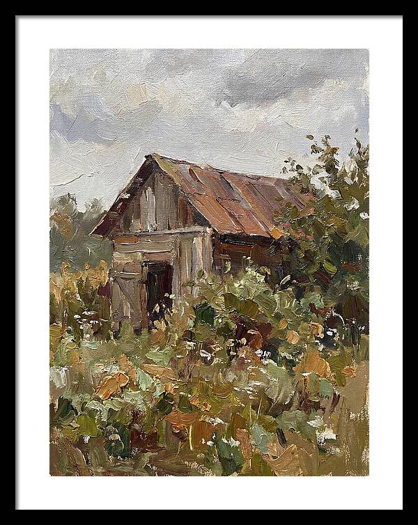 Old Shed Amidst Nature