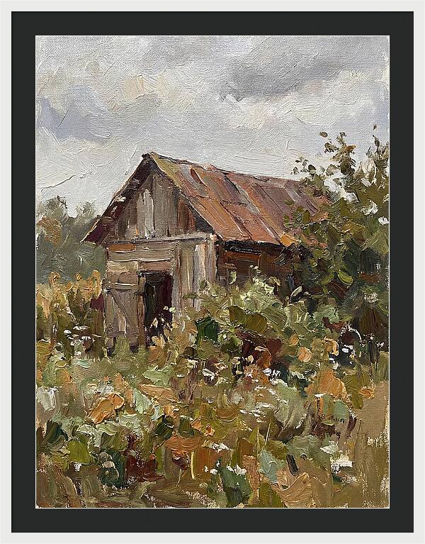 Old Shed Amidst Nature
