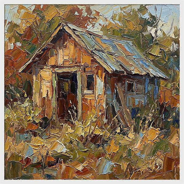Old Shed In Nature