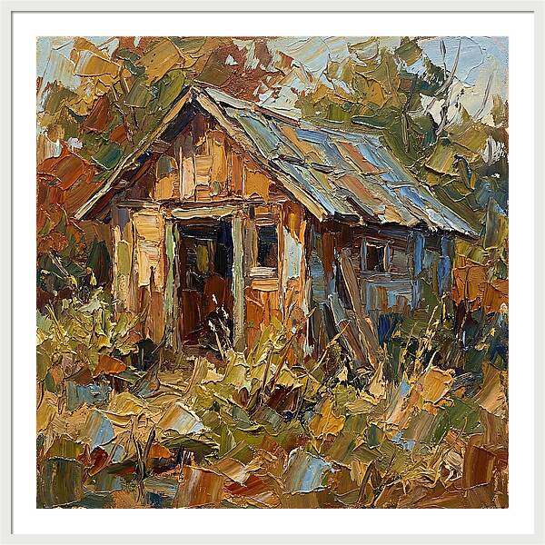 Old Shed In Nature