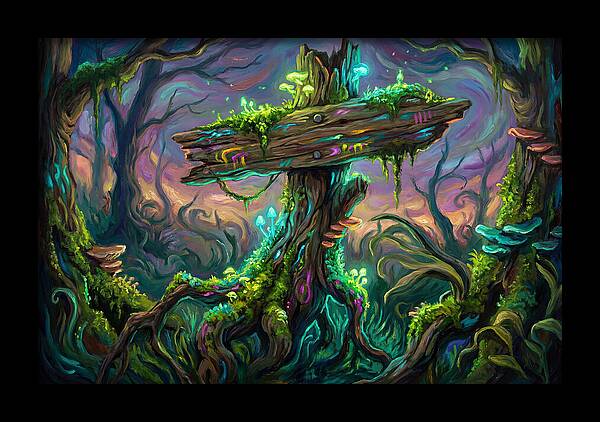 Old Signpost In Enchanted Forest