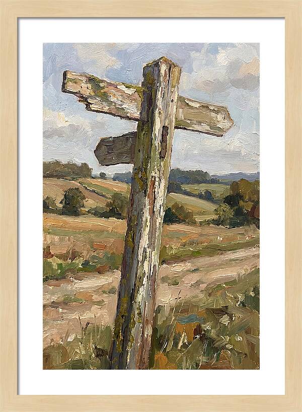 Old Signpost In Nature