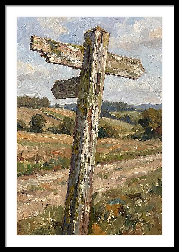 Old Signpost In Nature