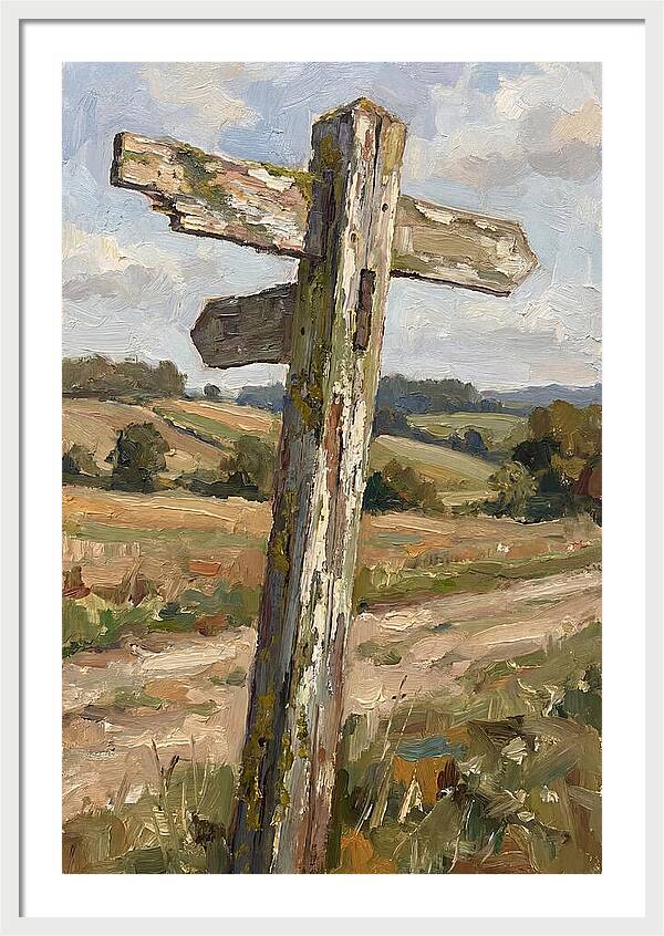 Old Signpost In Nature