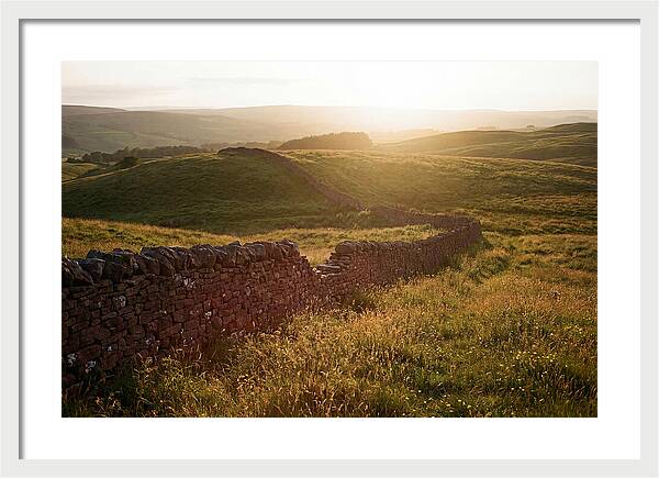 Old Stone Wall Through Green Hills