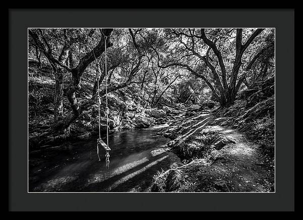 Old Swimming Hole With Rope Swing