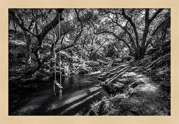 Old Swimming Hole With Rope Swing